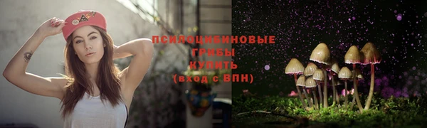 mdma Медвежьегорск