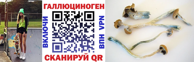 Купить  Кировград  Галлюциногенные грибы прущие грибы 